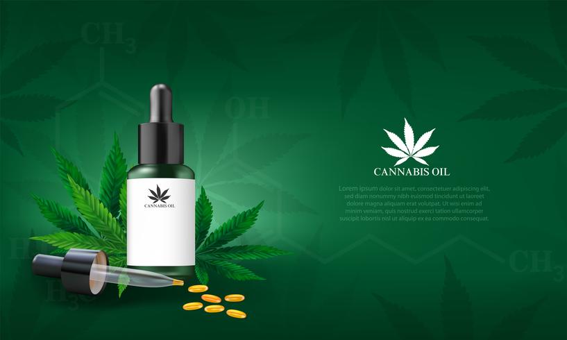 cannabis medicinal bahia brasil